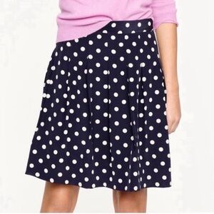 J. Crew Skirt
